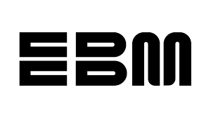 EBM Group Logo